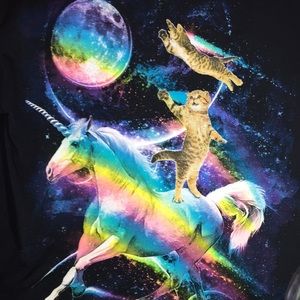 Fantastic cosmic unicorn and space cats